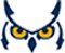 sunwise capital logo owl
