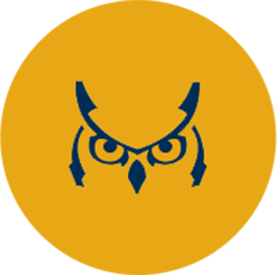 sunwise capital owl logo