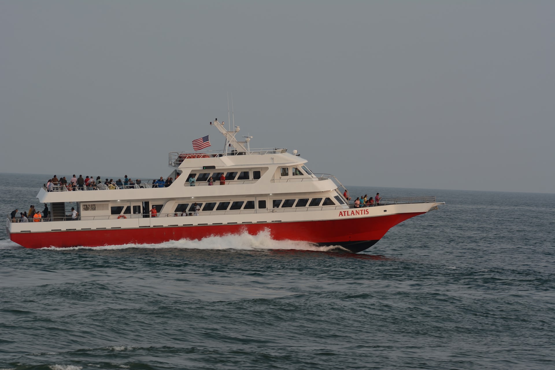 cape may whale watcher cape may whale watcher