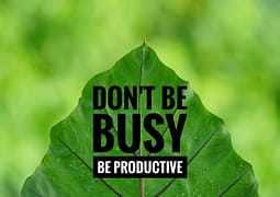 A green leaf with don't be busy, be productive written on it