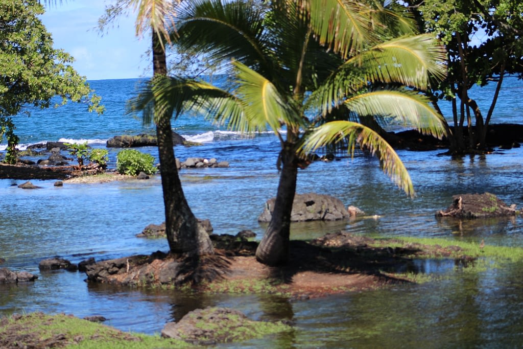 What Makes Hawaii Ocean Water SO Blue?