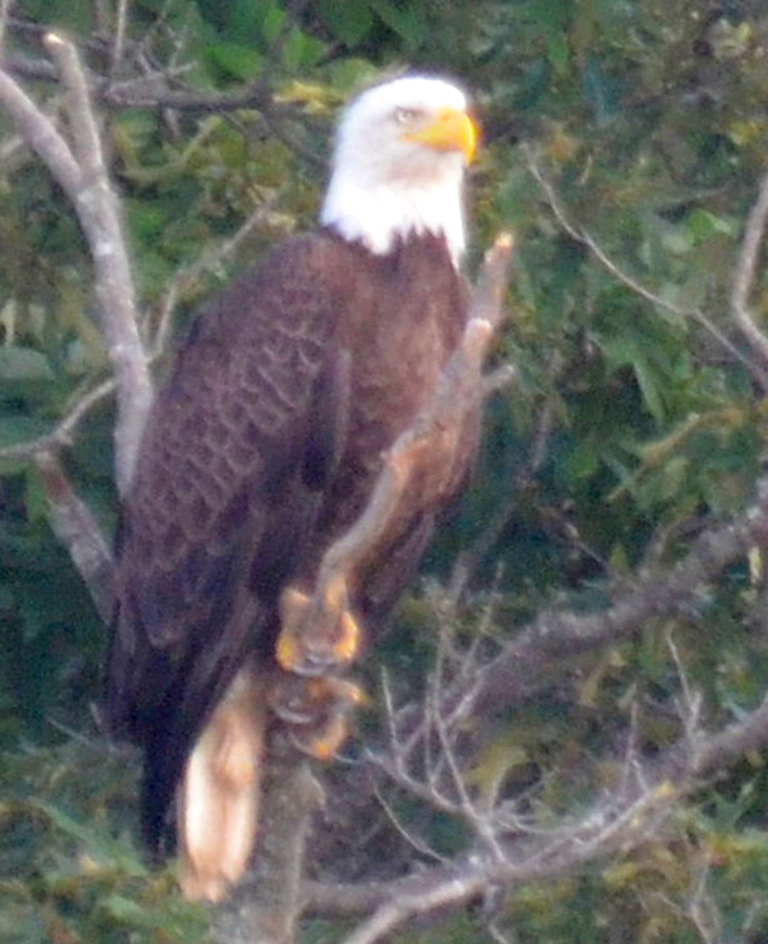 Wildlife 14