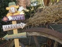 Fall Outdoor Activities Around Cape May