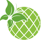 green fruit icon