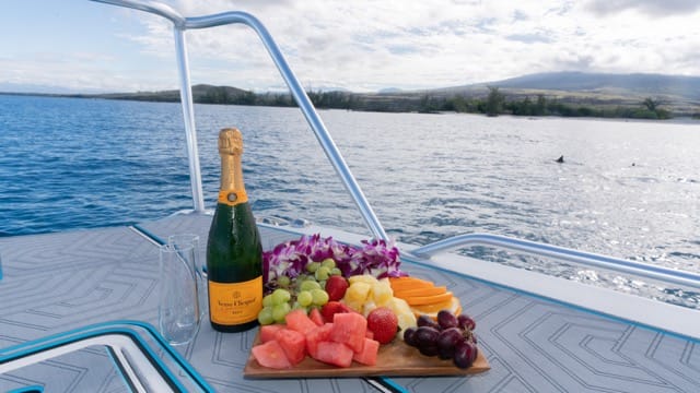 champagne and cheese plate on the bow of a boat with dolphins in the sea behind and a coastline in the distance
