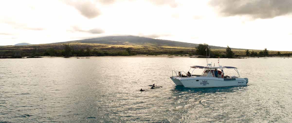 Kona Boat Charter & Private Tours Kona Honu Divers