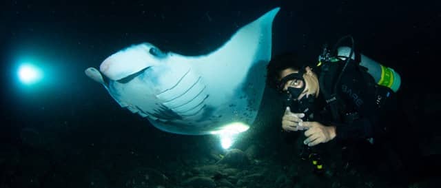 scuba diver giving pointy finger sign with manta in background at night
