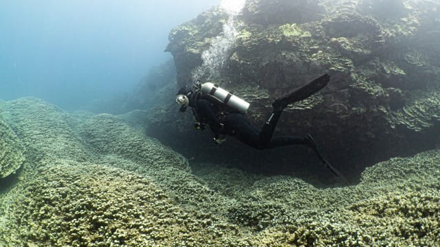 side view of diver swimming over reef blowing bubbles
