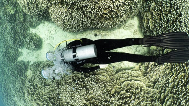 overhead view of a diver swimming over the reef blowing bubbles