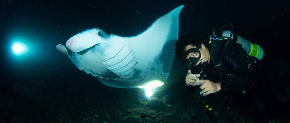 Dive guide with manta ray in kona