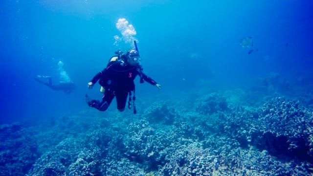 scuba diver swims vertically in the ocean
