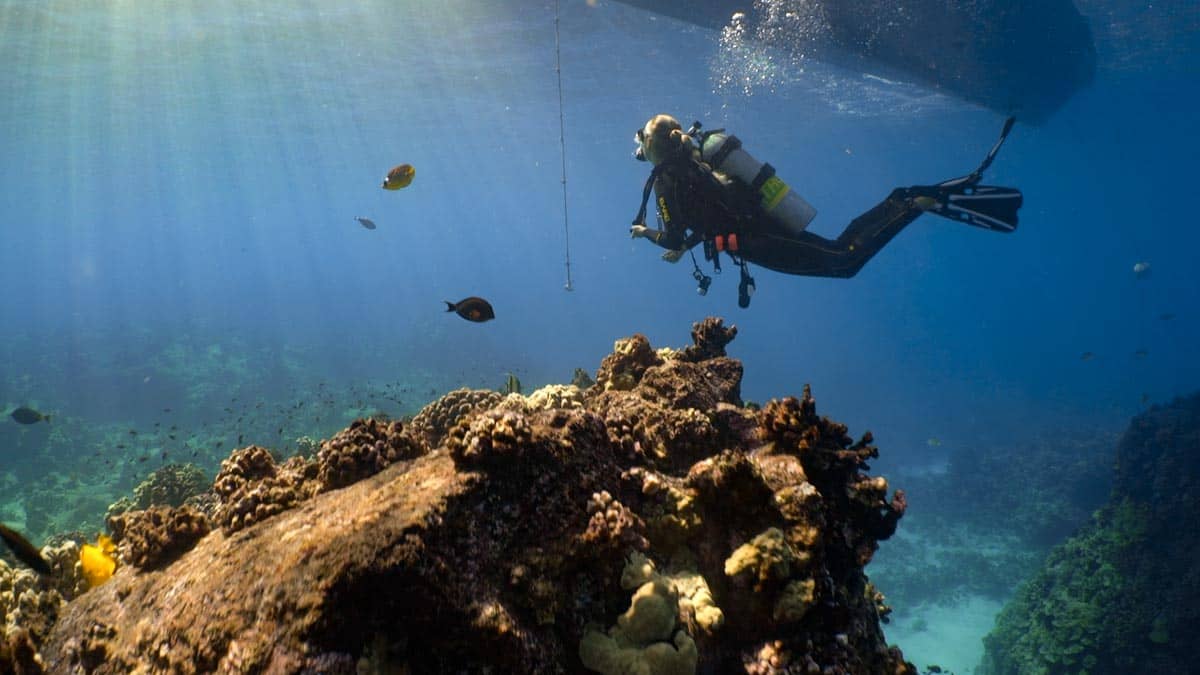 Scuba Diving Hawaii with Kona Honu Divers