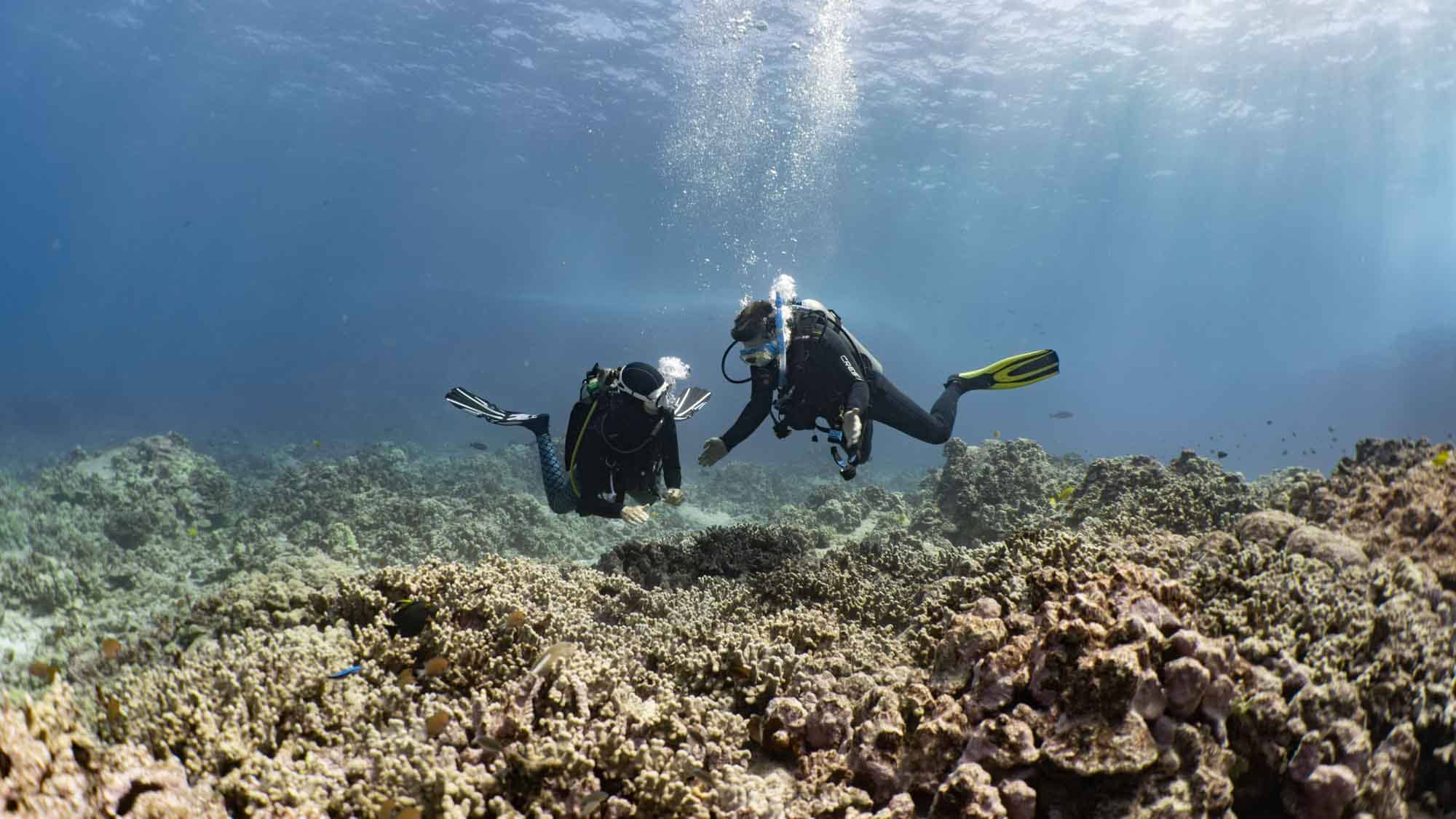 Scuba-Diving-Hawaii-Kona-Honu-Divers-21