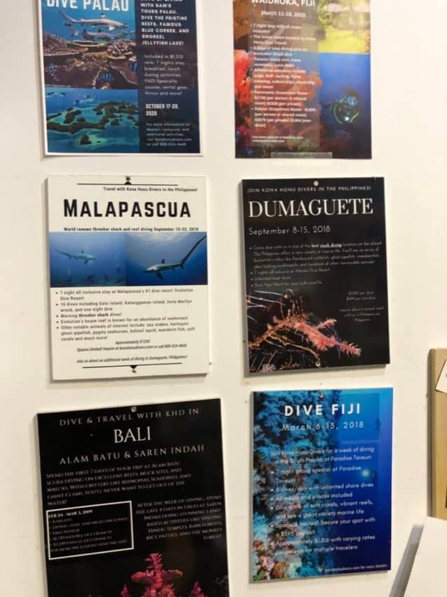 dive travel posters on a wall
