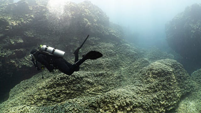 diver kicks over coral field