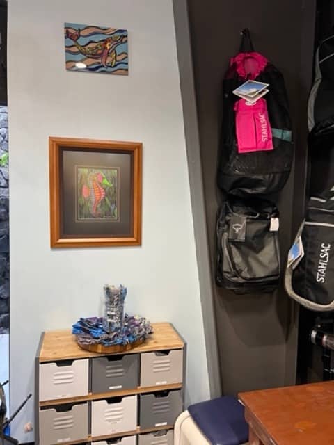 inside of dive shop wall with products and picture of seahorse