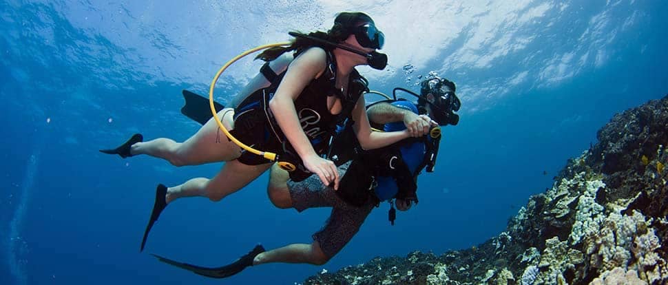 Kona Diving with Kona Honu Divers