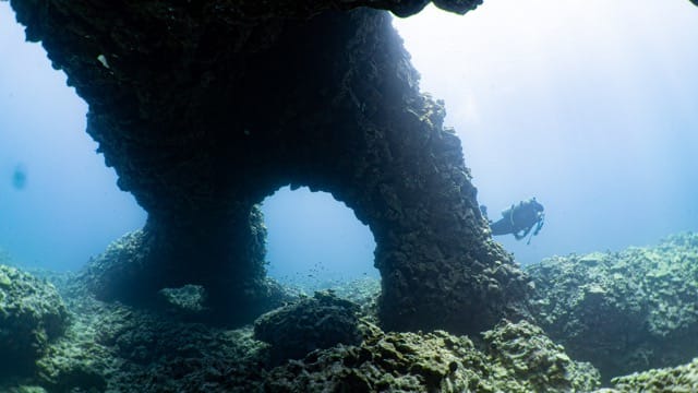 scuba diver swimming around a large multi coral arch