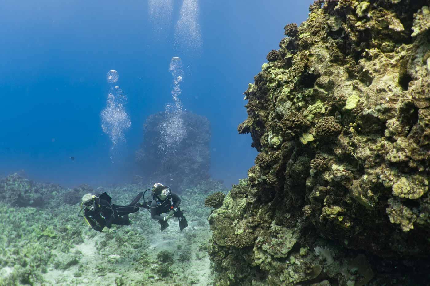 Scuba-Diving-Hawaii-Kona-Honu-Divers-20