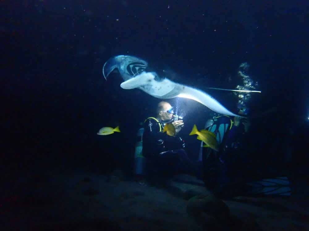 Scuba-Diving-Hawaii-Kona-Honu-Divers-32