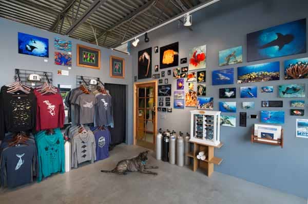dive shop interior with dog