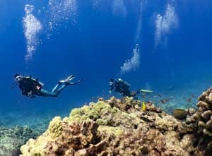 2 divers swim behind a fish covered reef