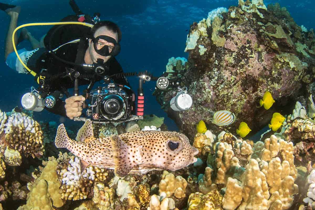 Scuba-Diving-Hawaii-Kona-Honu-Divers-19