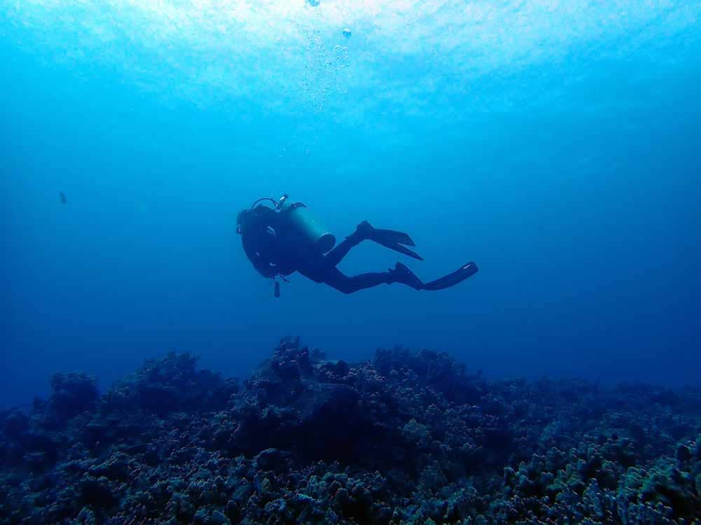 Scuba-Diving-Hawaii-Kona-Honu-Divers-36