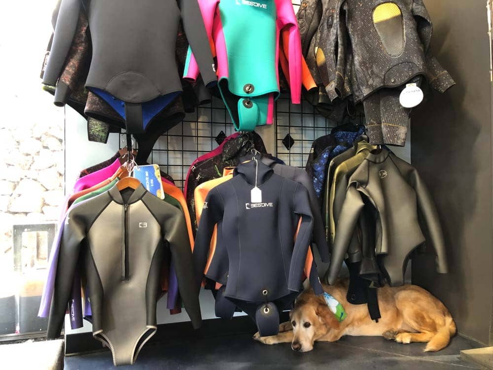 freediving wetsuits