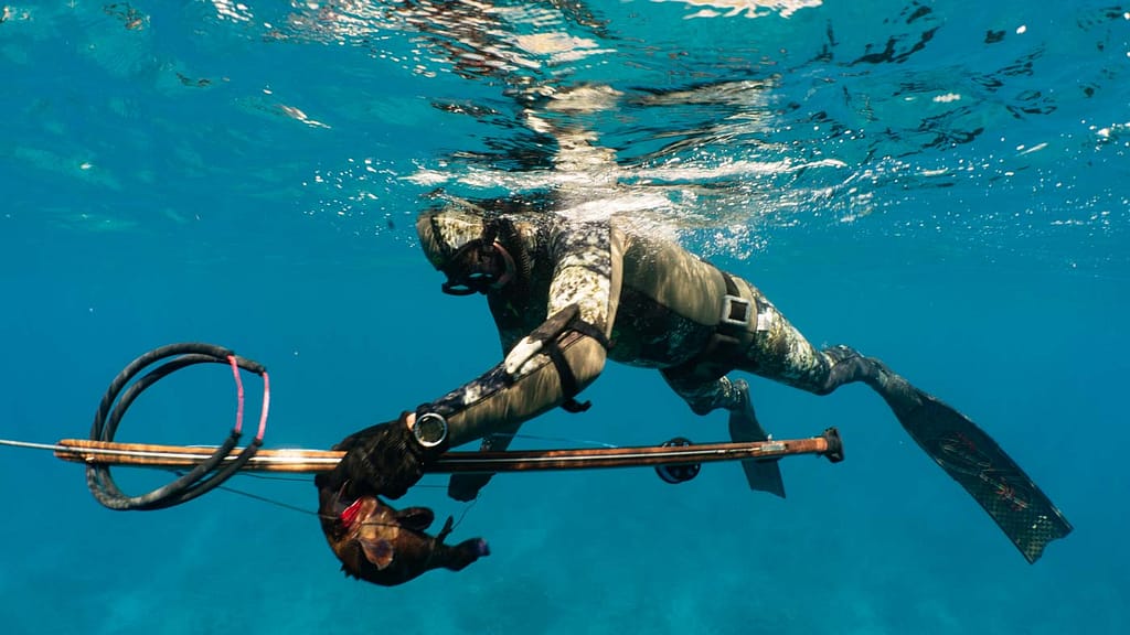underwater view of as Spearfisherman holding a gun and a fish