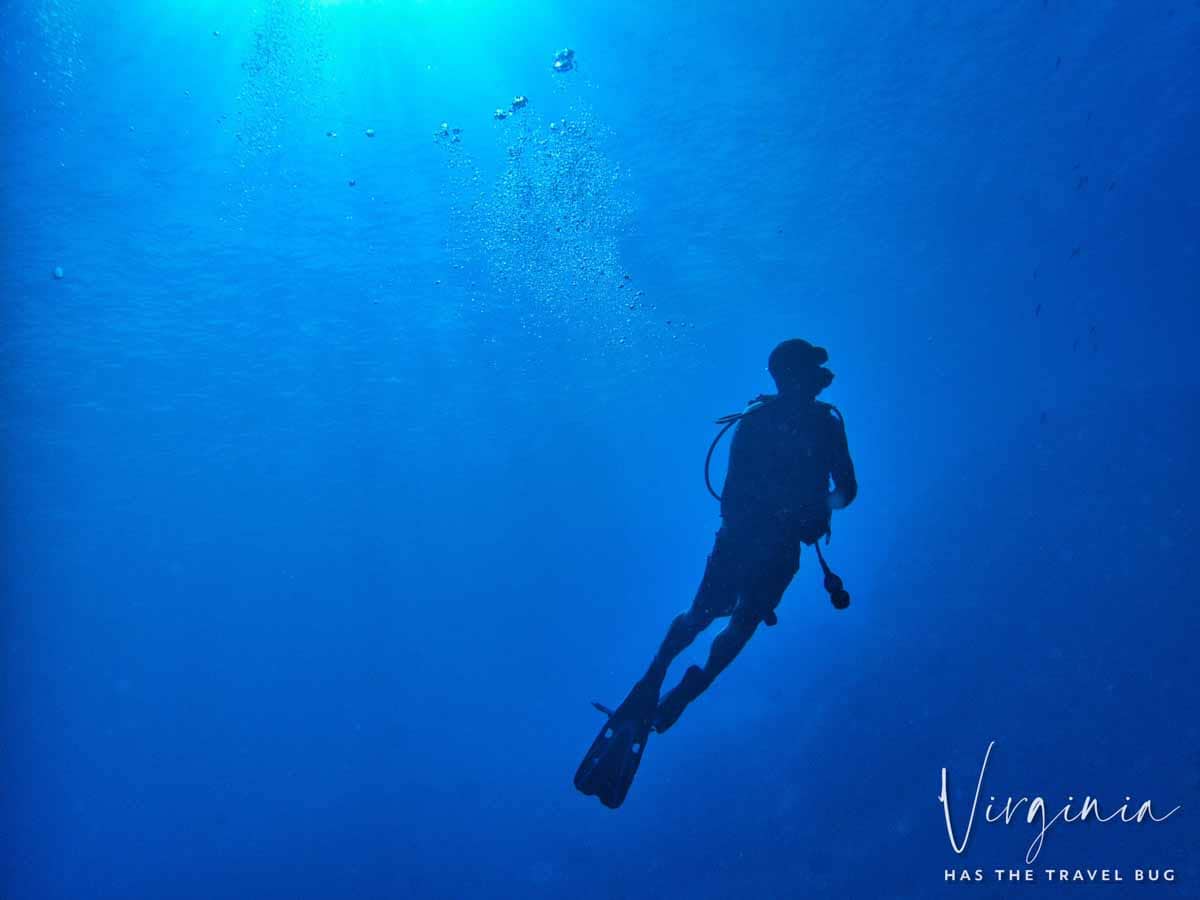 Scuba-Diving-Hawaii-|-Kona-Honu-Divers-95