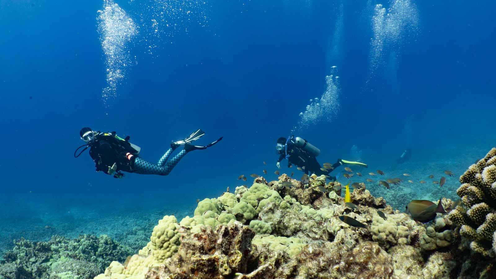 Scuba-Diving-Hawaii-Kona-Honu-Divers-24