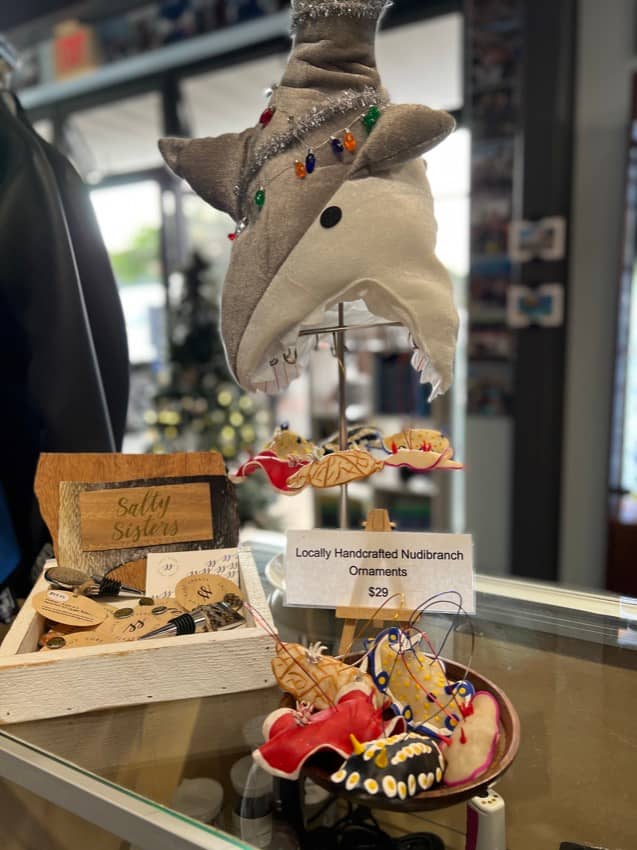dive shop display with shark hat