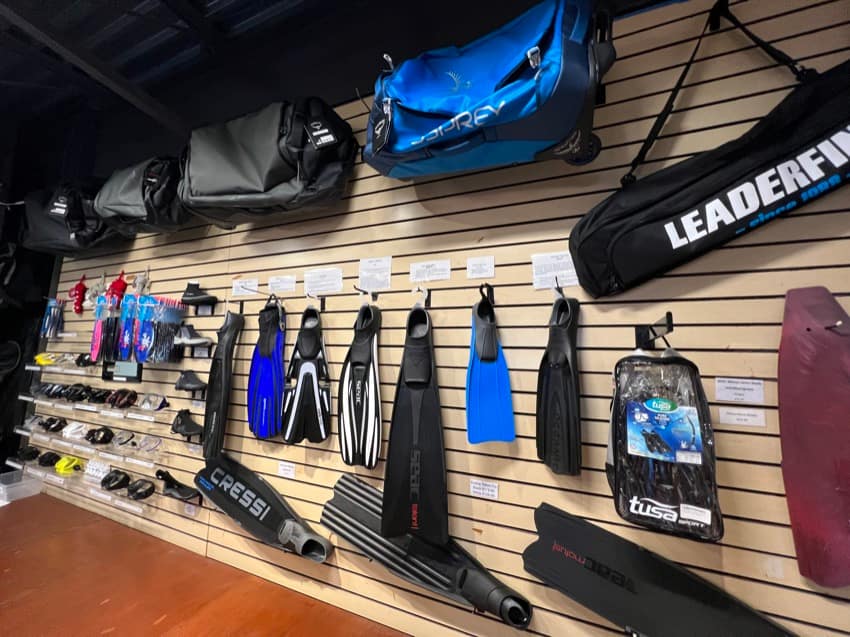 wall in dive shop with fins and bags on display