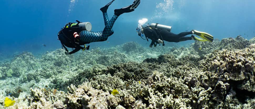 2 divers swim along the kona tropical reef underwater
