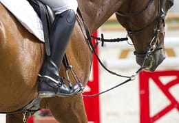 Human leg in a boot with foot in stirrup sitting on a horse