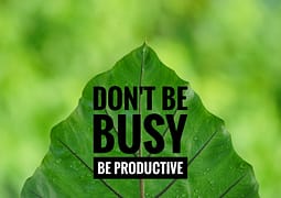 A green leaf with don't be busy, be productive written on it