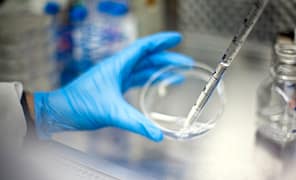 Lab scene: gloved hand holding a petri dish with a syringe removing fluids