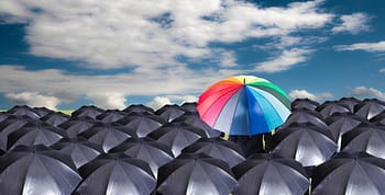 A sea of black umbrellas and a multi-colored umbrella above the rest