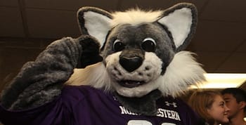 Willie the wildcat, Northwestern University's mascot