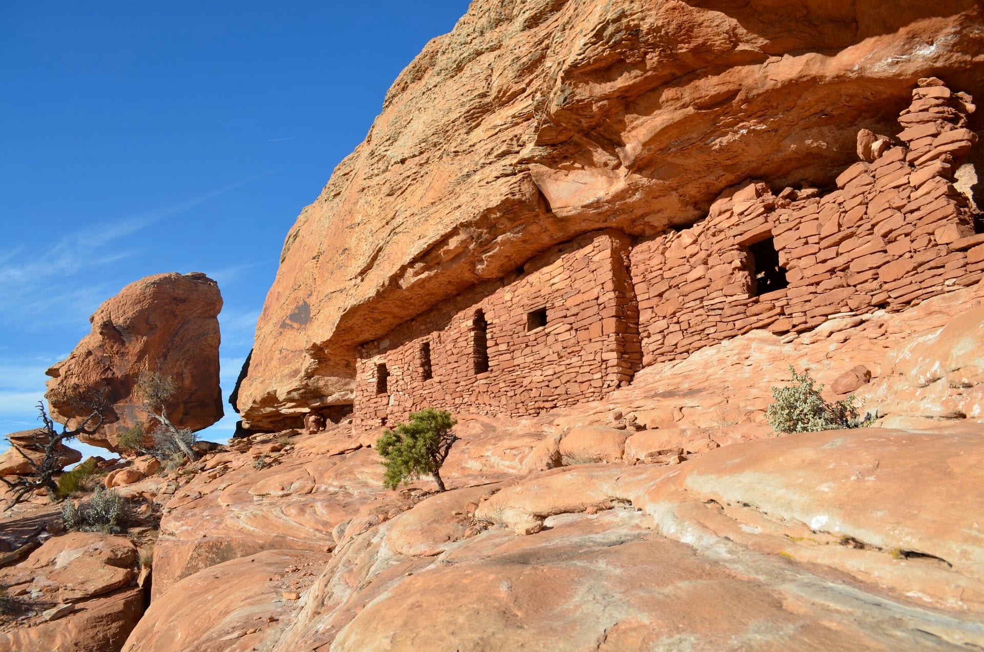 Bears Ears Private Hiking Tours