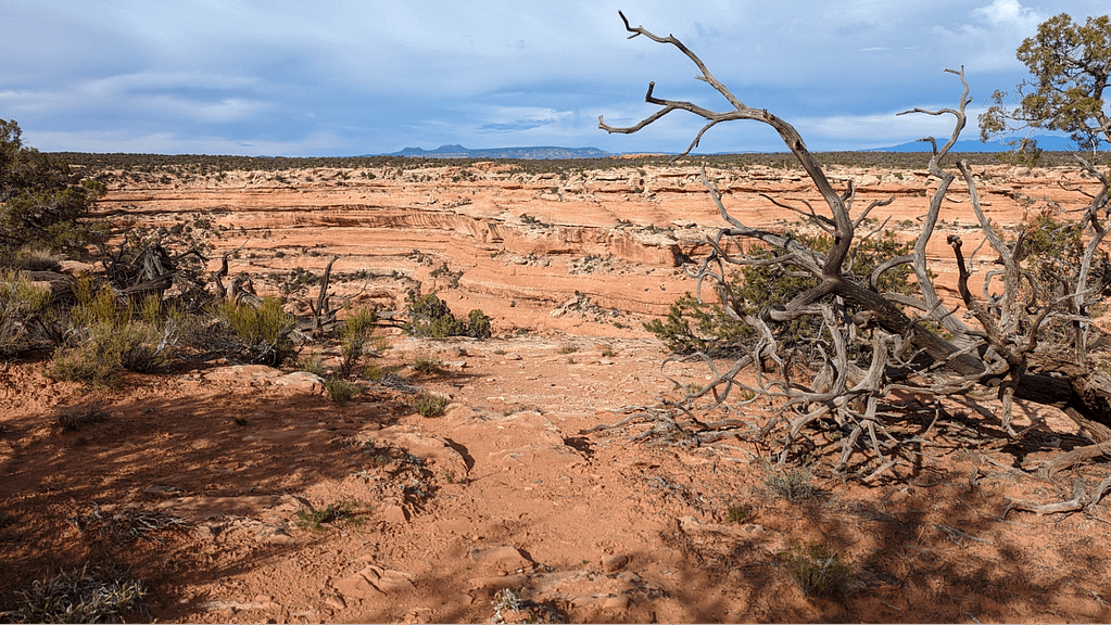 Red rock canyon beneath blue sky is part of the vast landscape of this trail.