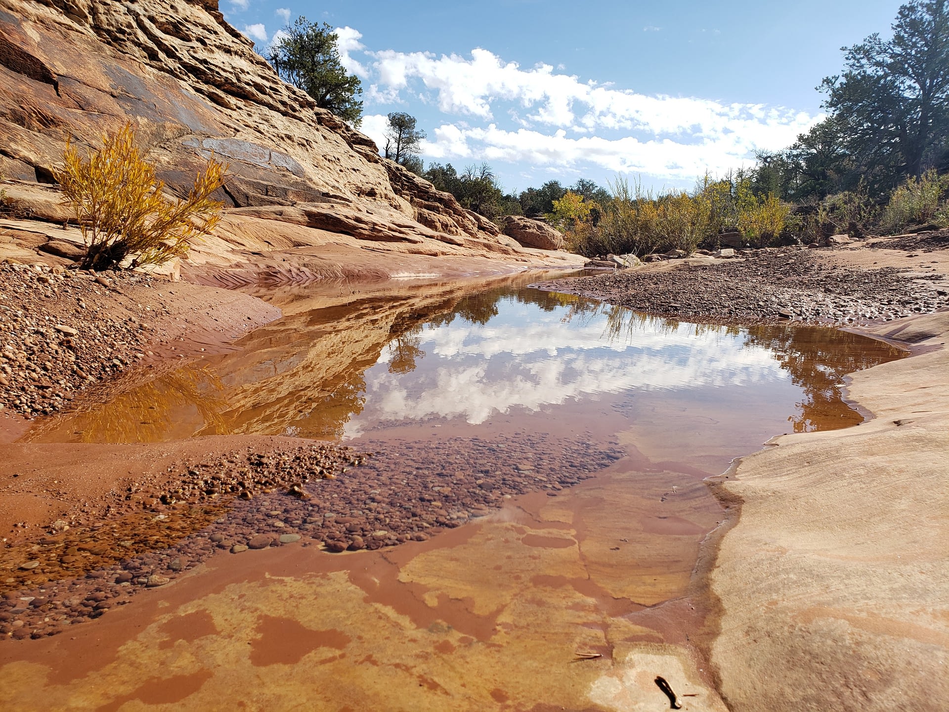 Bears Ears Private Hiking Tours - Wild Expeditions