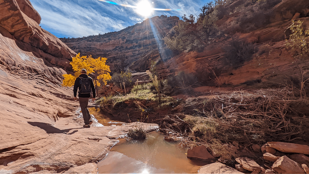 Awesome Solitude Hike Bears Ears National Monument Wild Expeditions
