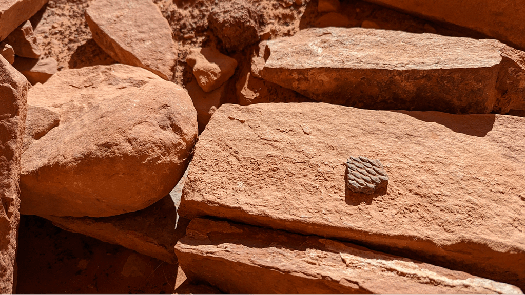 Red sandstone rocks with a small piece of pottery.