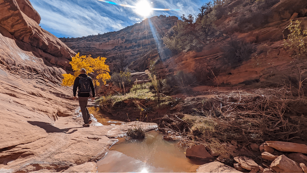 a man walks on sandstone in a canyon.
