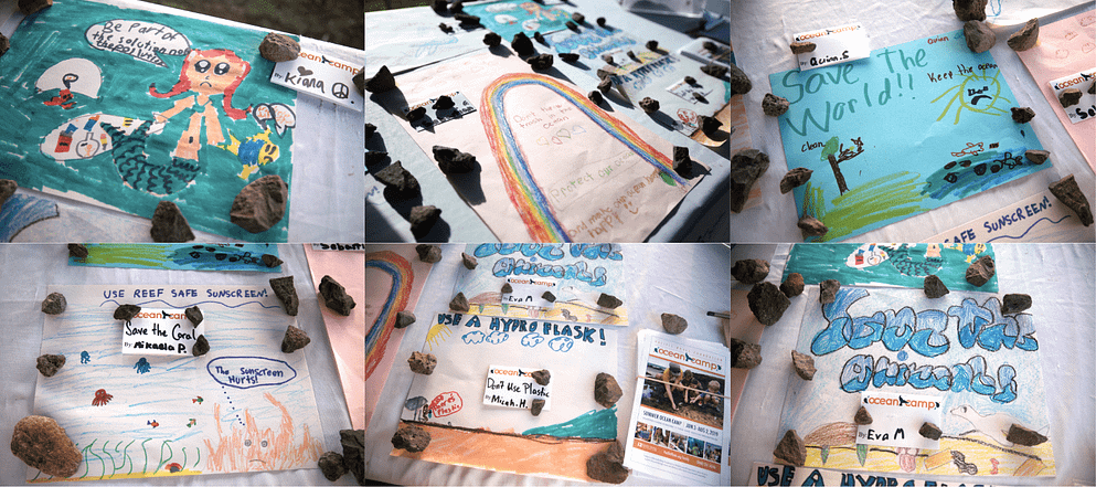 World Ocean Day Results 19 Pacific Whale Foundation
