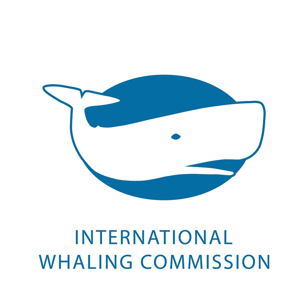 International Whaling Convention 2024 favors