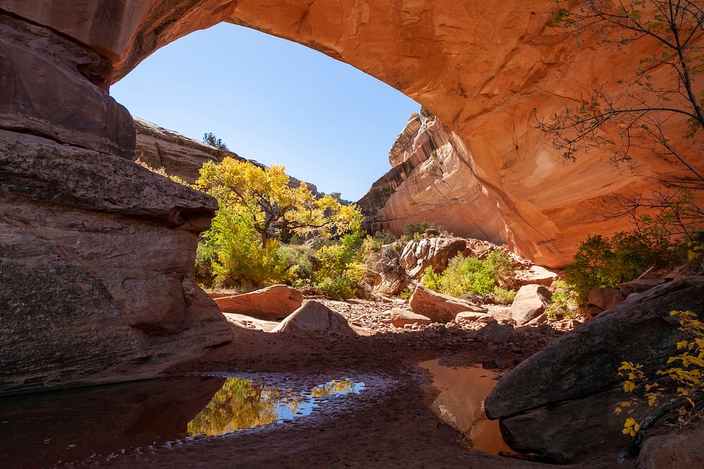 Autumn colors and reflection beneath a red rock natural bridge