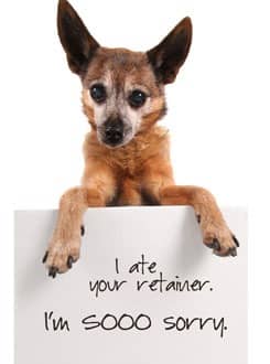 dog with a sign